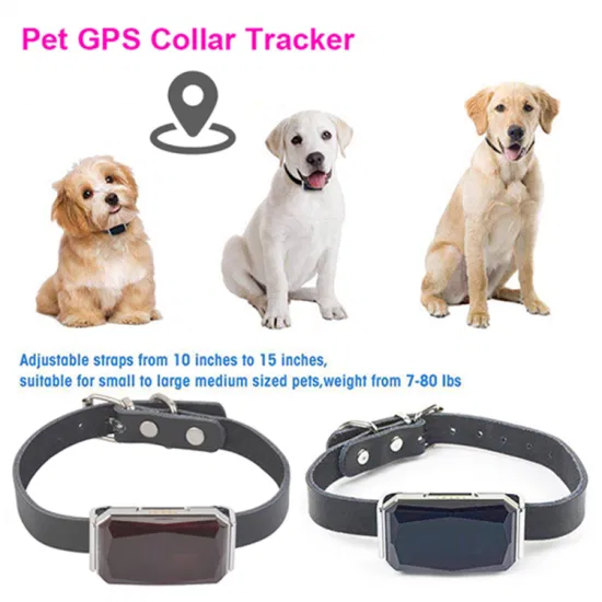 Nuovo gadget GPS Tracker 2G lanciato in Cina, resistente all'acqua, a lunga durata della batteria, per animali domestici, cani, gatti, cuccioli Y31